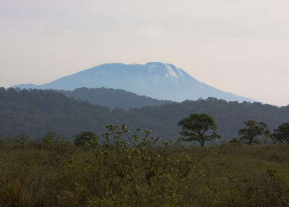 Arusha-6479.jpg - Mount Kilimanjaro