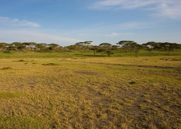 Serengeti-3377.jpg - Landscape around Ndutu