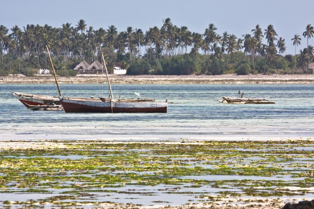 Zanzibar-5124.jpg