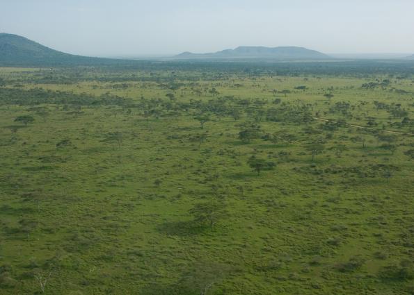 Serengeti-7118.jpg - Serengeti from the airplane
