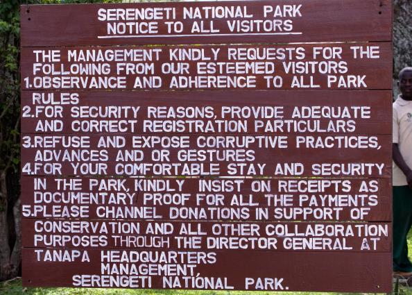 Serengeti-8402.jpg