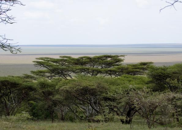 Serengeti-8717.jpg - serengeti view from Naabi gate