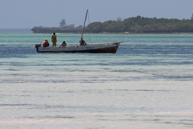 Zanzibar-5070.jpg - local fisherman