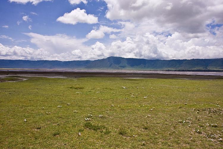 2009_Ngorongoro_40B-0787.jpg