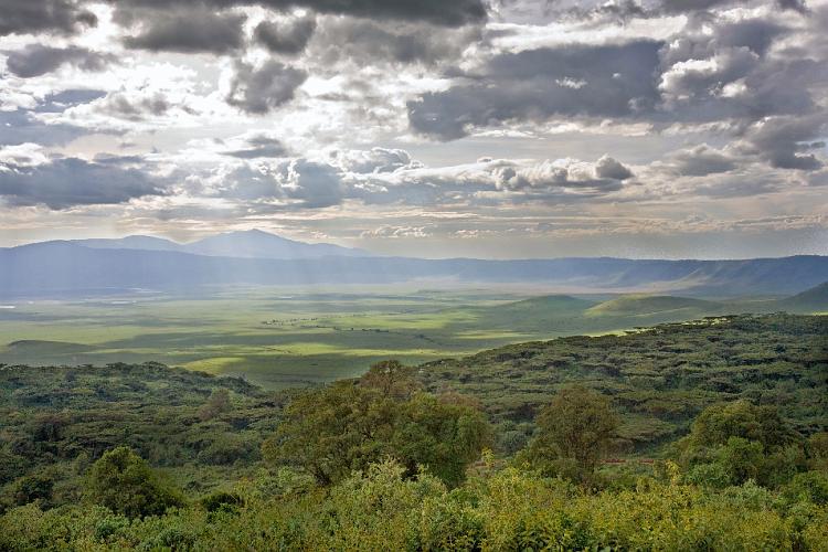 2009_Ngorongoro_40B-0809.jpg