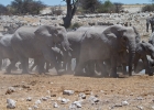 MG 6281  It got very dusty with the ellies circling the waterhole