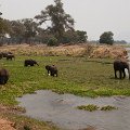 MG 3938 : Zimbabwe