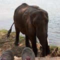 MG 3942 : Zimbabwe