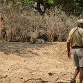 MG 5109 : Zimbabwe