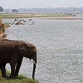 MG 5250 : Zimbabwe