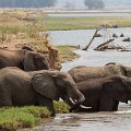 MG 5322 : Zimbabwe