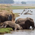 MG 5324 : Zimbabwe