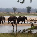 MG 5354 : Zimbabwe