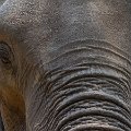 MG 5358 : Zimbabwe