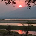 MG 5574 : Zimbabwe