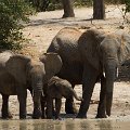 MG 5609 : Zimbabwe