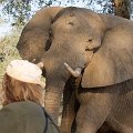 MG 5654 : Zimbabwe