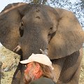 MG 5655 : Zimbabwe