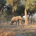 MG 5663 : Zimbabwe