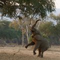 MG 5672 : Zimbabwe