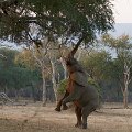 MG 5673 : Zimbabwe