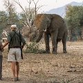 MG 5686 : Zimbabwe
