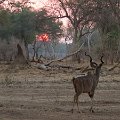 MG 5693 : Zimbabwe