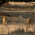 MG 5728 : Zimbabwe