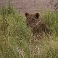 MG 5820 : Zimbabwe