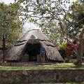 MG 3914 : Zimbabwe