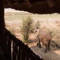 MG 3979 : Zimbabwe