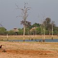 MG 6024 : Zimbabwe