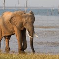MG 6026 : Zimbabwe