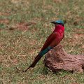 MG 6225 : Zimbabwe