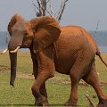 MG 6264 : Zimbabwe