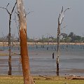 MG 6265 : Zimbabwe