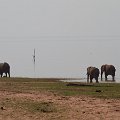 MG 6268 : Zimbabwe