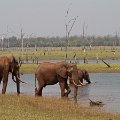MG 6462 : Zimbabwe
