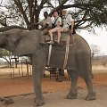 IMG 4005 : Zimbabwe