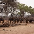MG 3999 : Zimbabwe