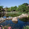 MG 6594 : Zimbabwe
