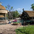 MG 6596 : Zimbabwe