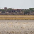 Onguma the Fort from inside Etosha  <div