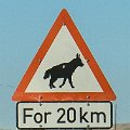 Watch for brown hyaena which we did not see on the road    MG 9263