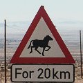 Watch out for wild horses    MG 6118