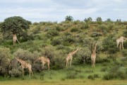  MG 3249