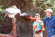 Jim with founder ,Maria Diekmann  feeding a Cape griffon vulture