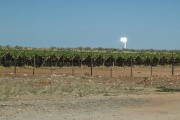 A large solar plant in Upington
