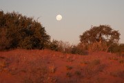 On the way back to Kieliekrankie Camp, a full moon raising