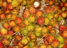 IMG 1348 : 2013	Borneo